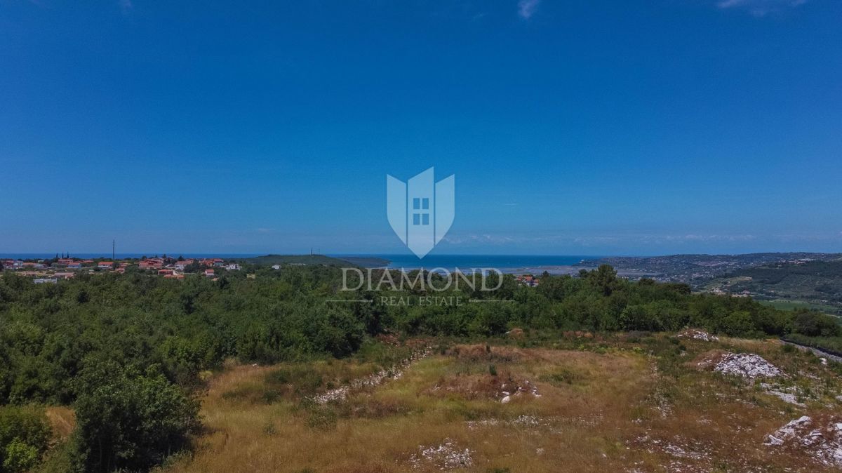 Istra, Umag, okolica, hiša z bazenom in vrtom!