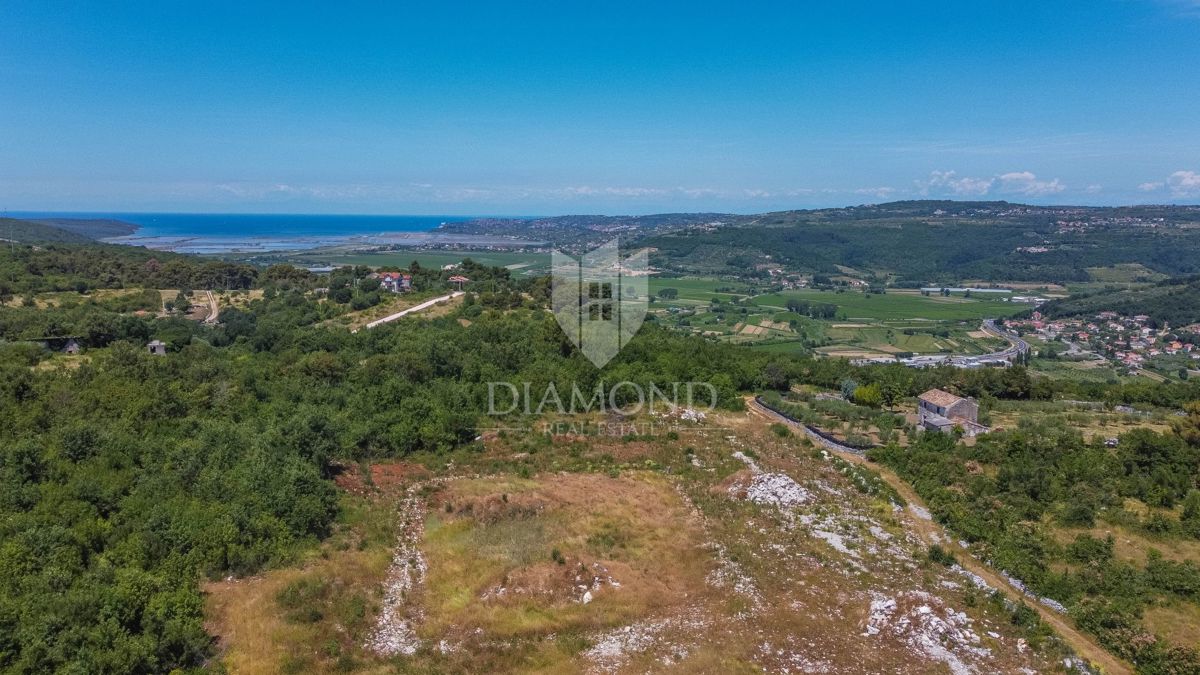 Istra, Umag, okolica, hiša z bazenom in vrtom!